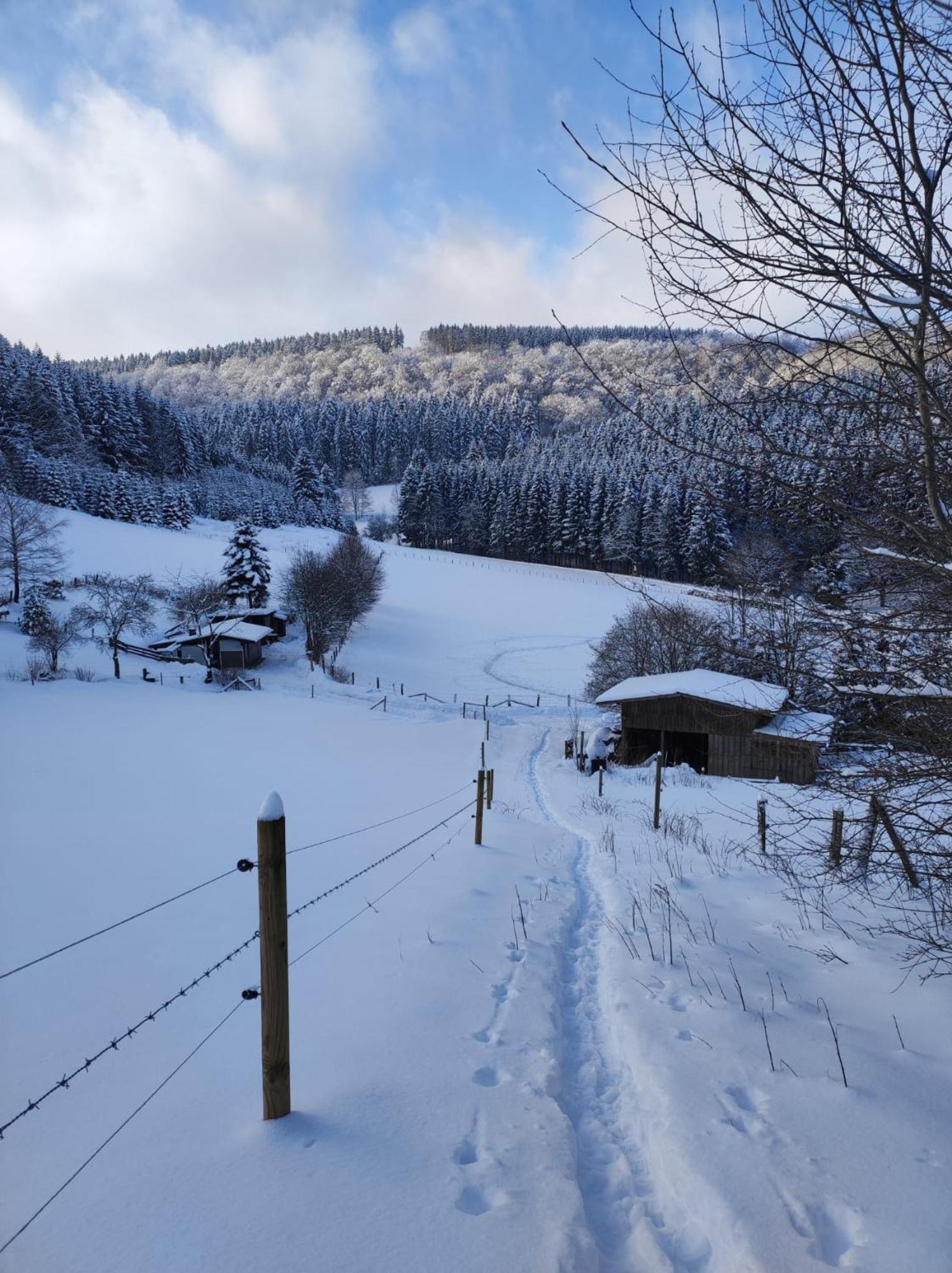 Ferienwohnung Finkeldei Winterberg Zewnętrze zdjęcie